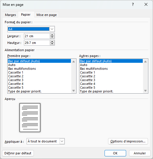 Fenêtre contextuelle de l'outil Word lorsqu'il s’agit de donner des formats de document personnalisés.