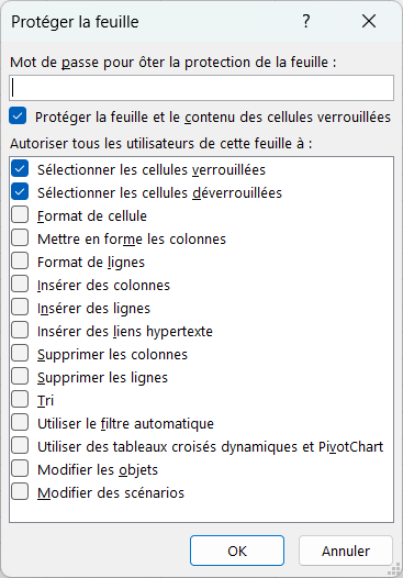 Capture d'écran de la fenêtre contextuelle qui s'ouvre après le clic sur l'outil de protection d'une feuille excel.